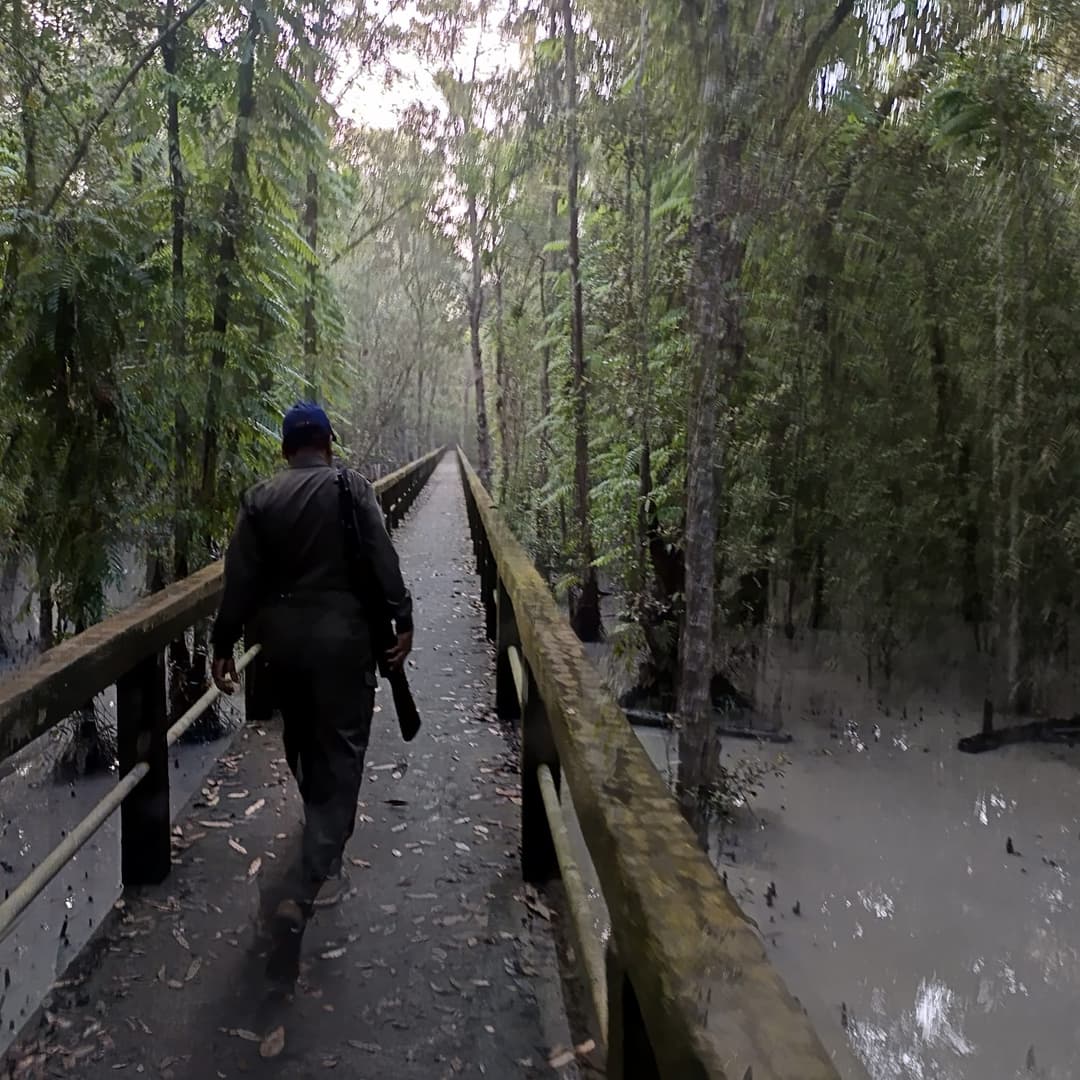 Dhaka to Sundarban Tour image 2