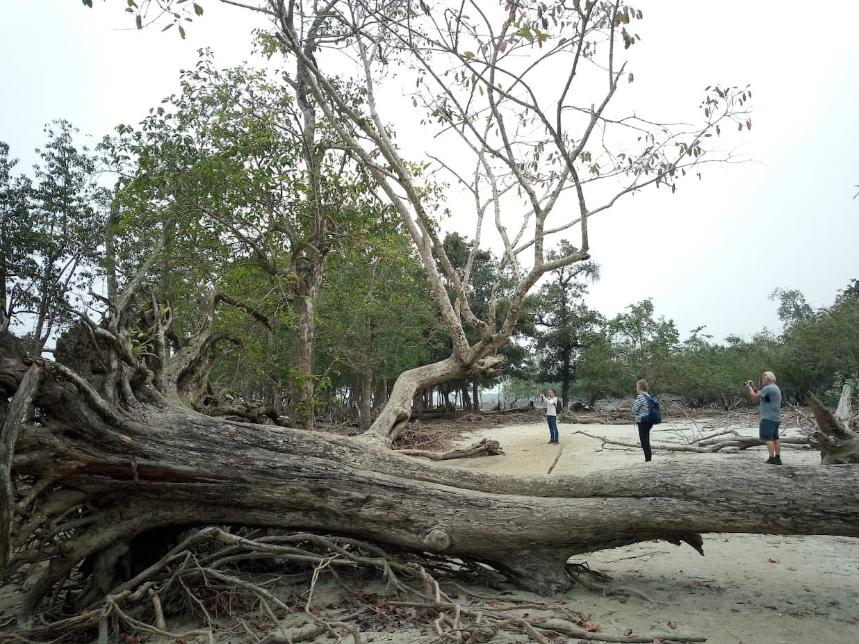 Sundarban Safari Adventure Tour image 8