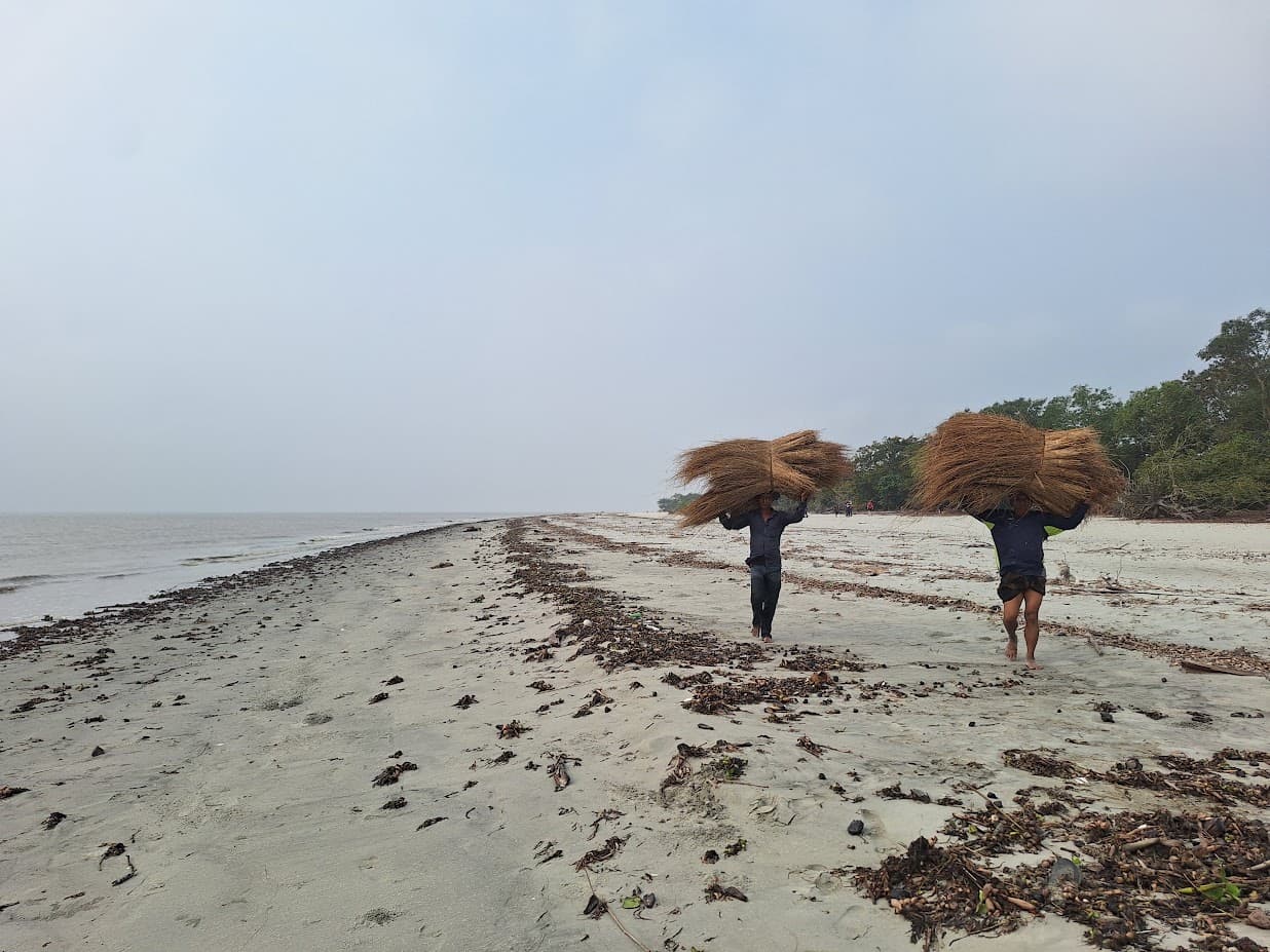 Sundarban Safari Adventure Tour image 1