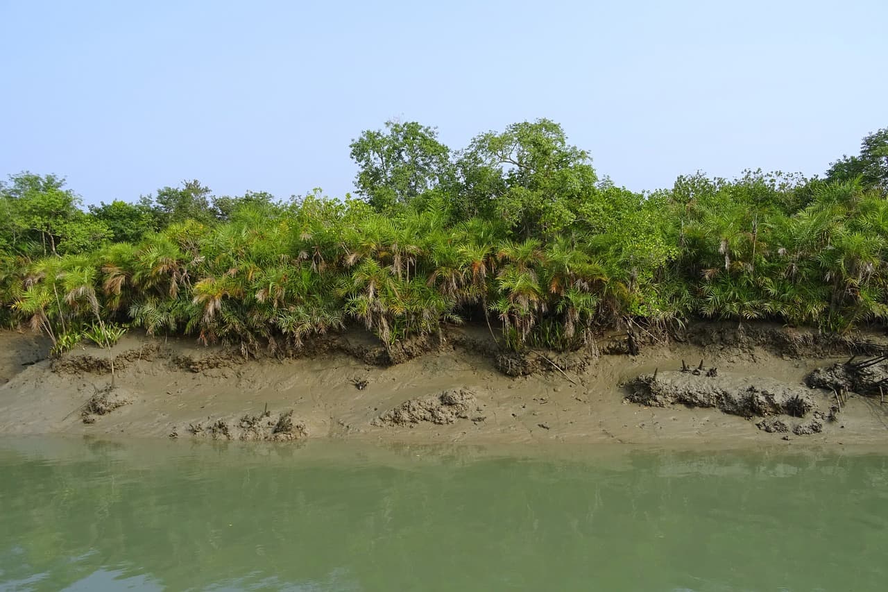 Sundarban Tour Bangladesh (3-Days) image 2