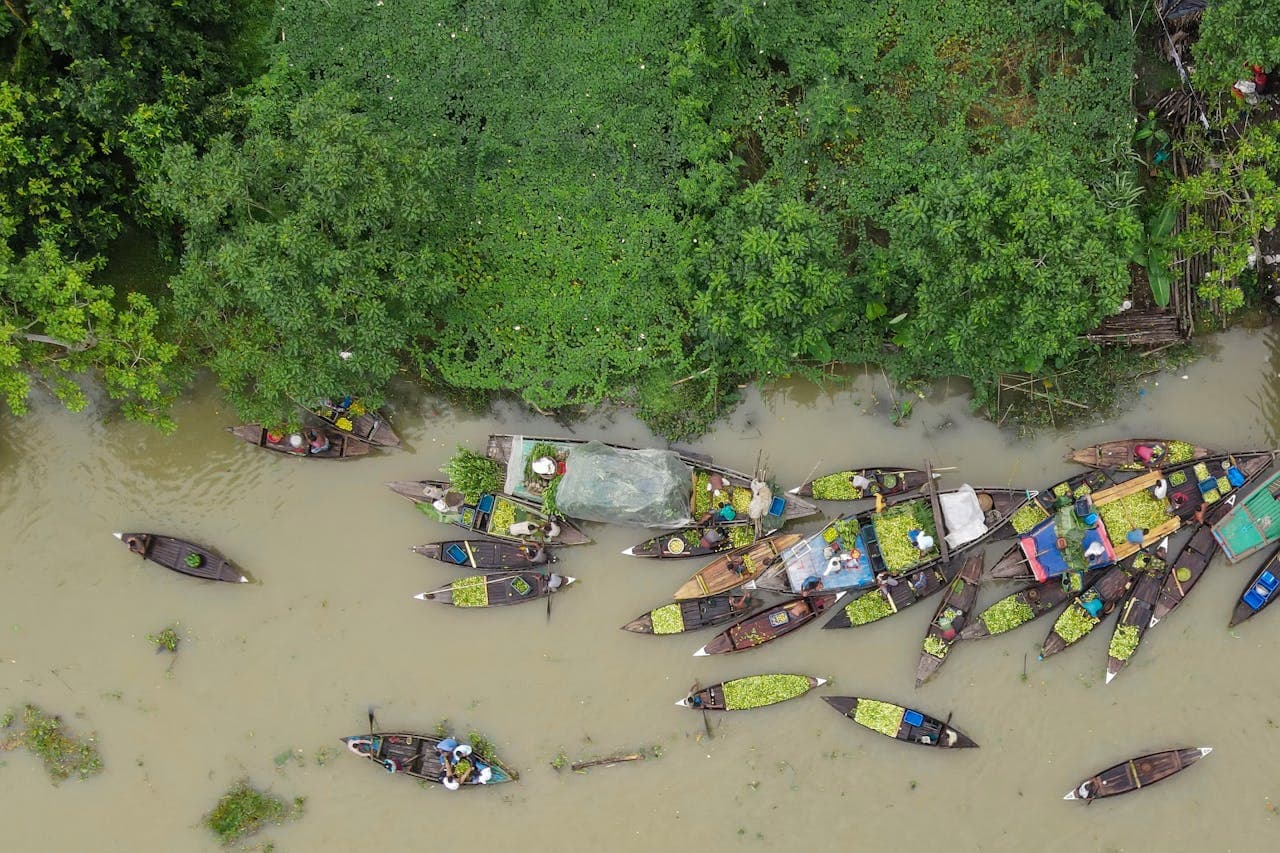 Barisal River Chronicles Tour image 5