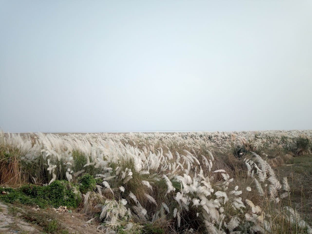 Highlights of Rajshahi image 5