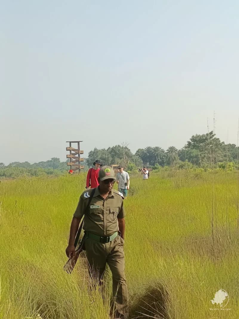 Inside Sundarban forest trail sea before sea beach