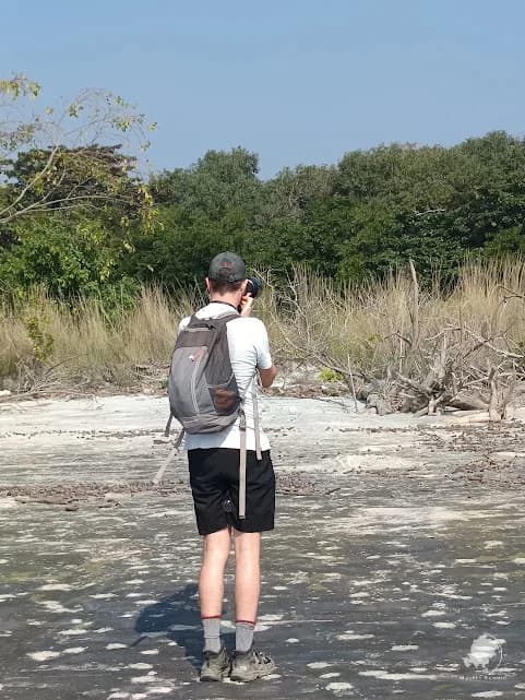Sundarban sea beach