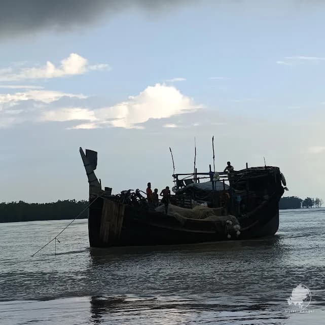 Boat ride to collect Nypa palm leaves in the Sundarbans