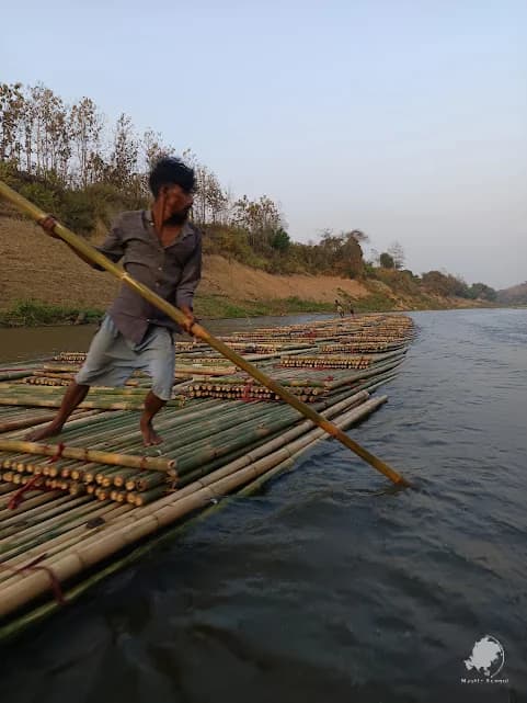 A man transporting a large amount of bamboo by boat on the river